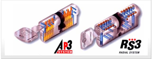 личинка Cisa rs-3 картинка