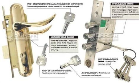 Какими бывают личинки замка картинка