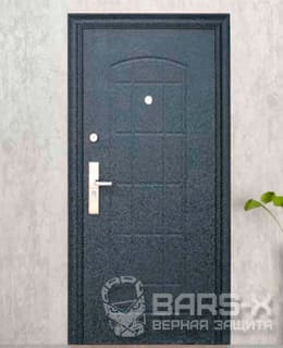 Двери Dorsa SD-10 картинка