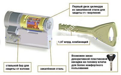 устройство дисковой личинки аблой